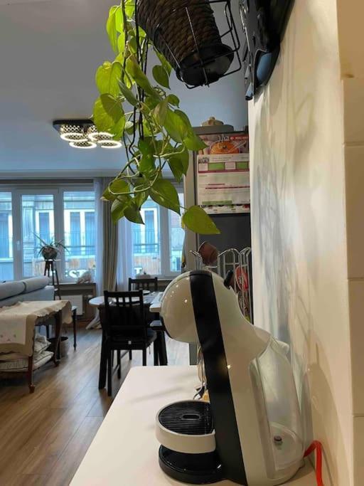 Superbe Appartement Dans Le Centre De Mons - Arivee Autonome Eksteriør bilde